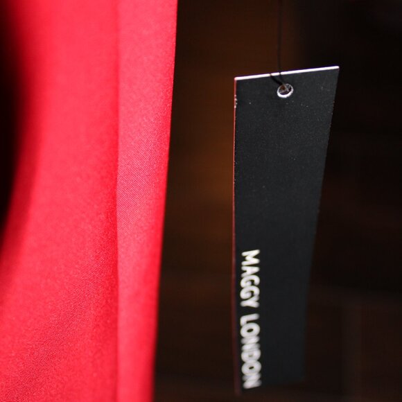 Maggy London Tulip Bodice Formal dress - Picture 9 of 11